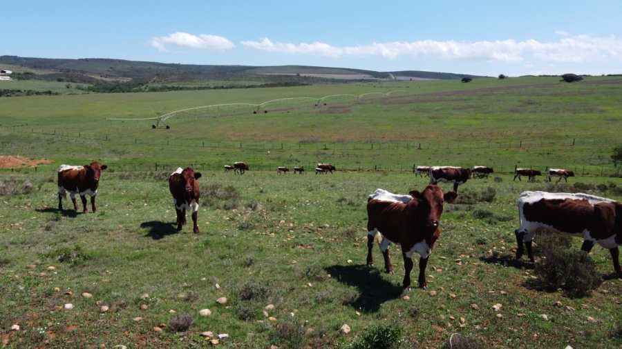 Commercial Property for Sale in Mossel Bay Rural Western Cape